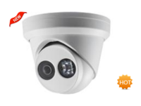 DS-2CD2356(D)WD-I  500 萬星光級1/2.7”CMOS ICR 日夜型半球型網絡攝像機