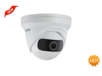 DS-2CD2345(D)P1-I 400萬1/3”CMOS ICR 180度廣角半球型網絡攝像機